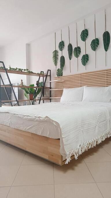Apartamento Φρίντα Στο Κέντρο Της Ορεστιάδας Exterior foto